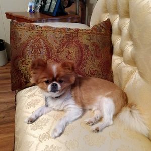 Meet your Posher, Paula